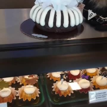 Flashback. Day 2. I love pumpkin spice season.