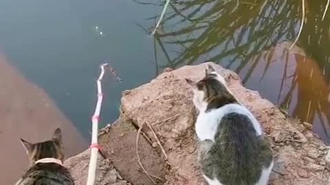 Fishing techniques