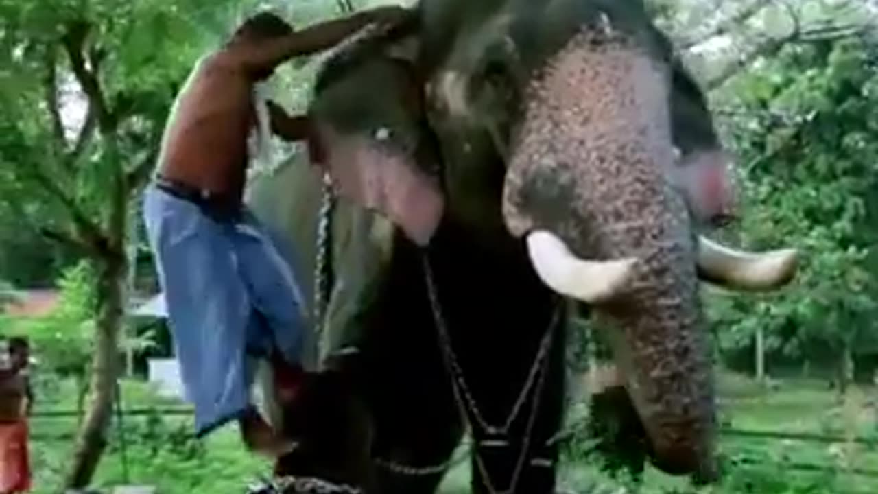 Annamanada Umamaheswaran . . .