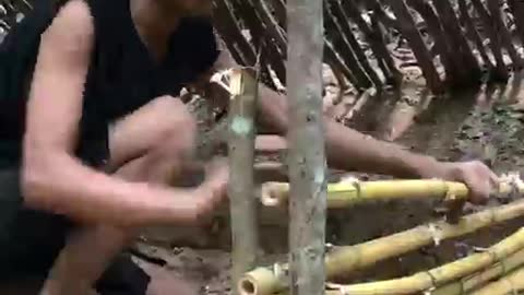 Build shelter in the forest