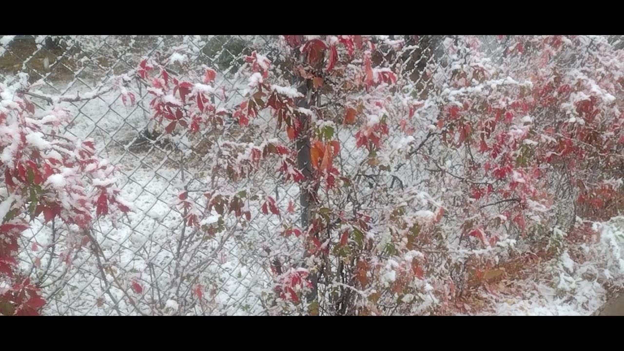 First snow of the season in Williams.