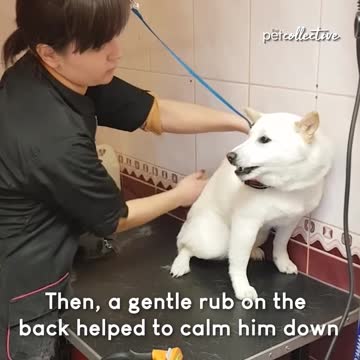 Just a friendly touch.