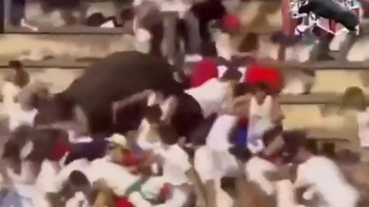 Bull enters the audience.