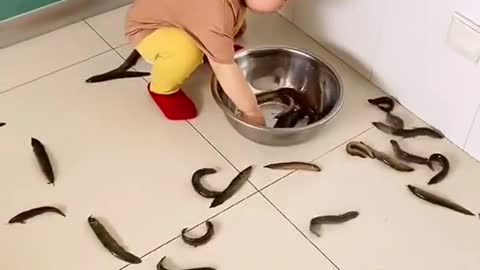 Fish in home