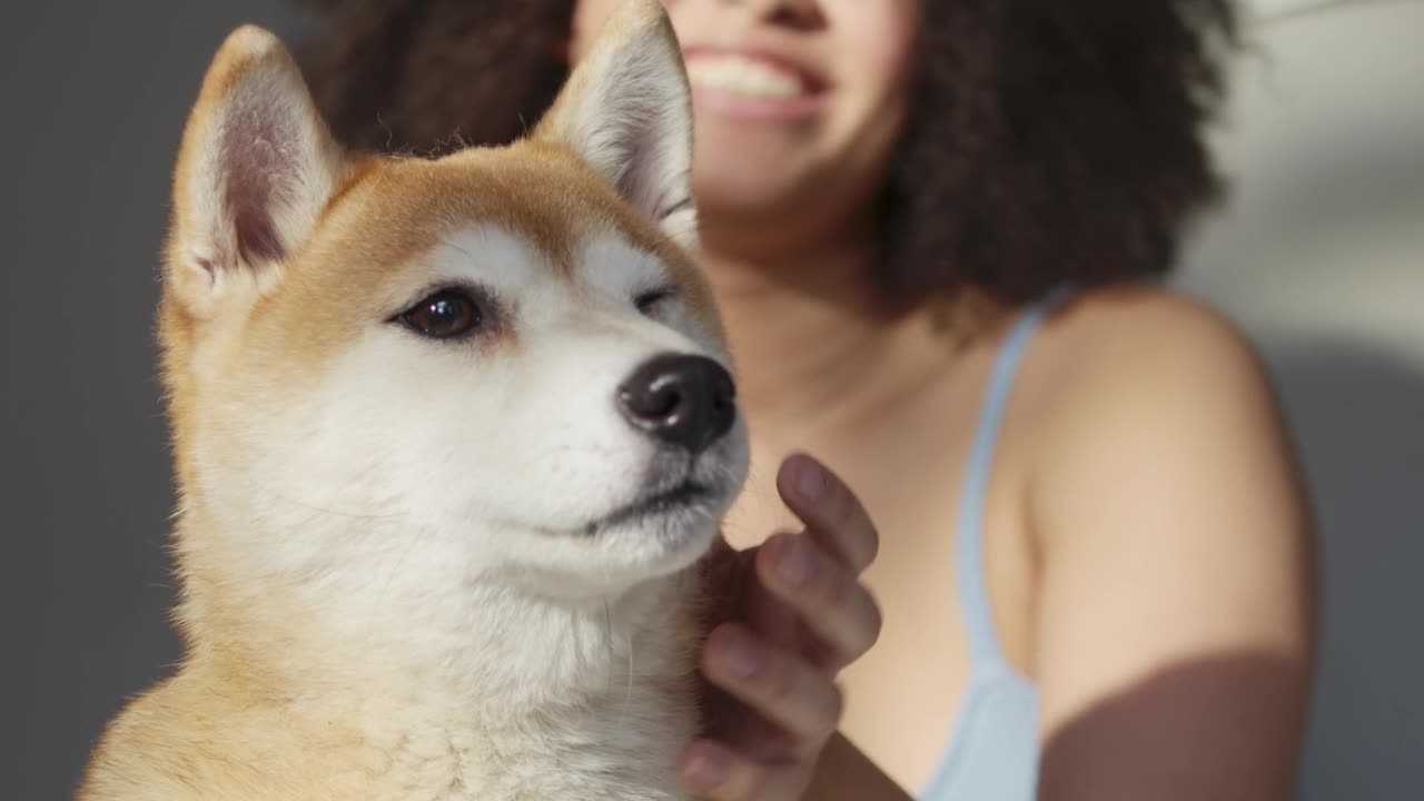 BEAUTIFUL GIRL PLAYING WITH DOG