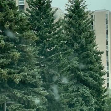 College Football is coming...View from a Dirty Windshielf - University of Wyoming