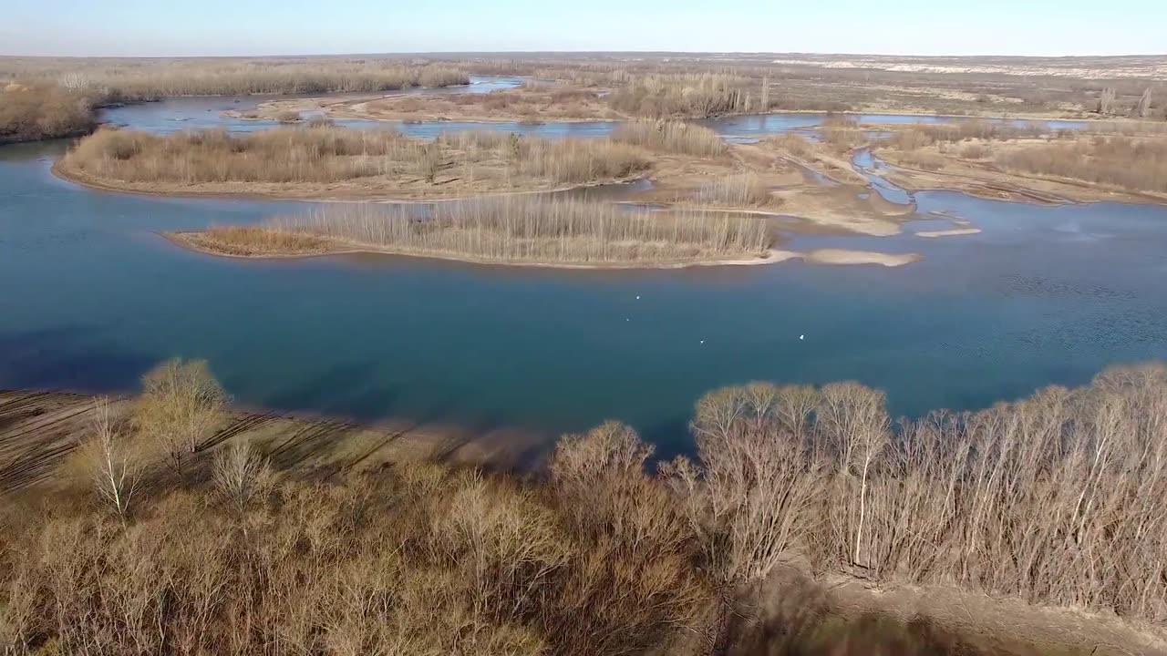 Fields of Argentina