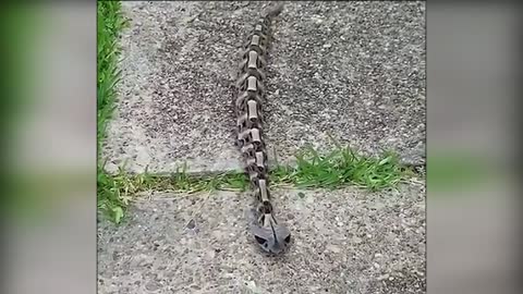 What's it?