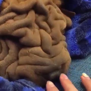 What kind of blanket is this