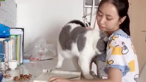 The cat wants to play with the owner