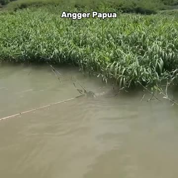 Amazing! Right on target #shorts