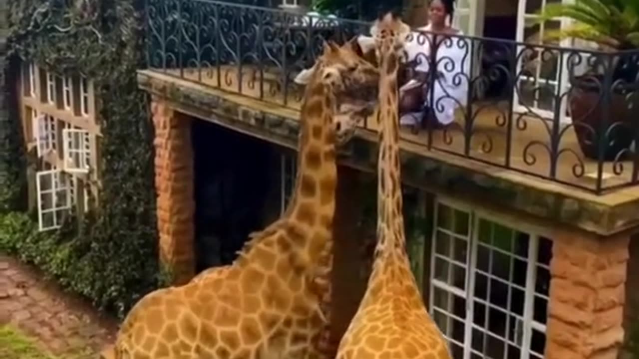 Naturaleza
