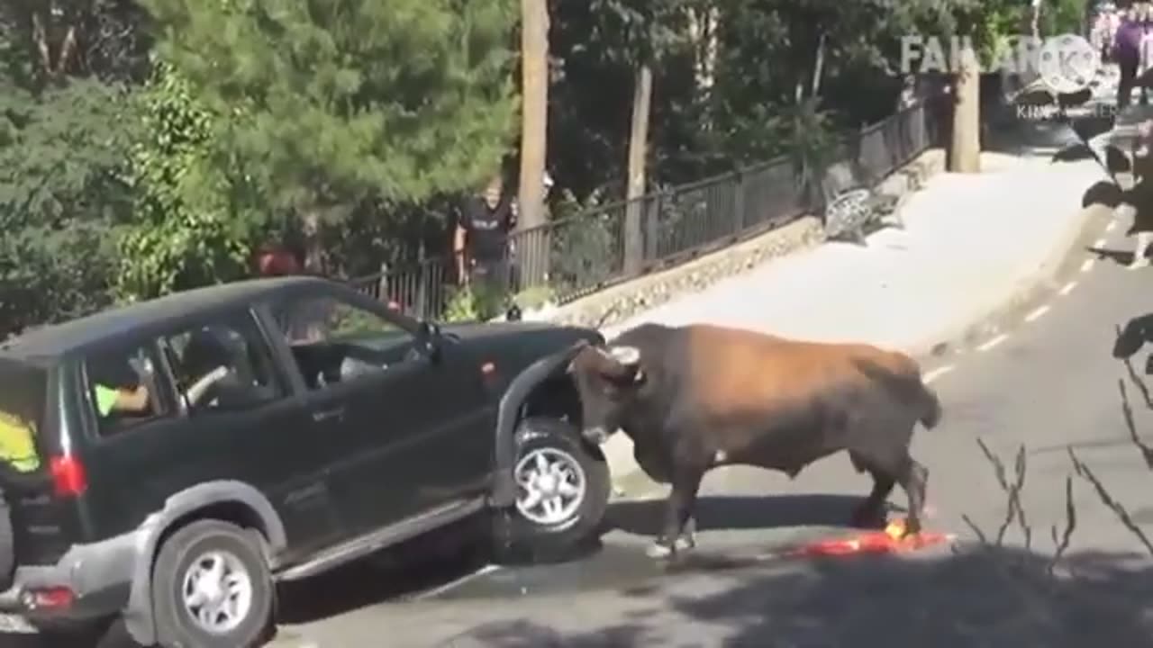 BULL vs CAR 😂 🤣