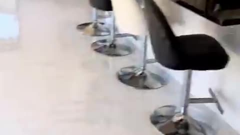 I caught my dog on the security camera!