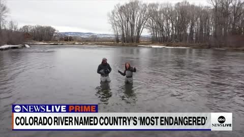 Colorado River named country’s ‘most endangered’ _ ABCNL