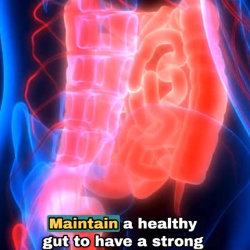 𝗛𝗼𝘄 𝗗𝗼𝗲𝘀 𝘆𝗼𝘂𝗿 𝗚𝘂𝘁 & 𝗜𝗺𝗺𝘂𝗻𝗶𝘁𝘆 𝗦𝗵𝗶𝗲𝗹𝗱 𝗬𝗼𝘂? 🤔𝗠𝗮𝗶𝗻𝘁𝗮𝗶𝗻 𝗮 𝗵𝗲𝗮𝗹𝘁𝗵𝘆 𝗴𝘂𝘁