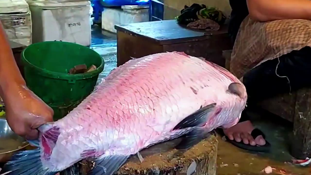 Skilled Fishmonger Cuts a Huge Katla Fish