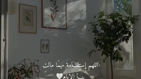 راحة نفسية🌿حالات واتس أب قران🤍