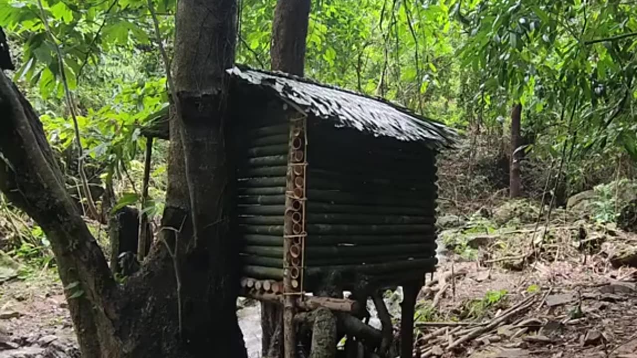 Building a Stone Shelter on a Plateau: Wild Construction and Survival