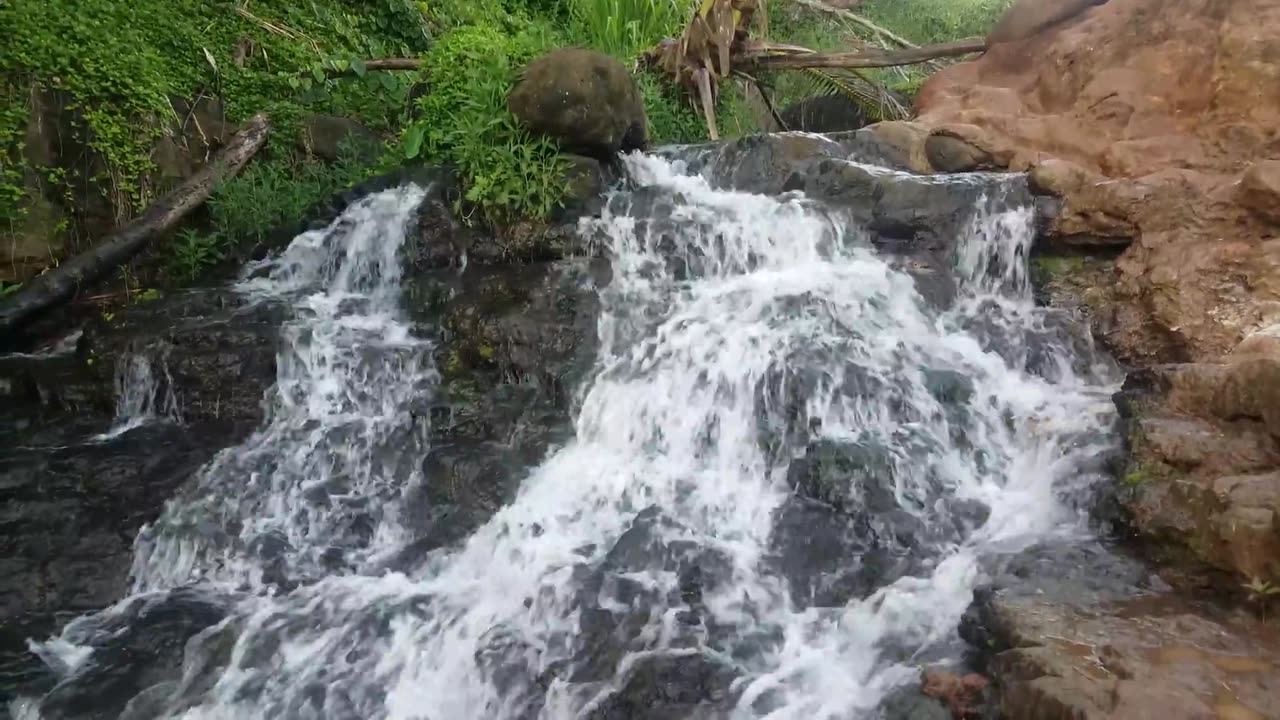 Waterfall on trail to Queens Bath (Island of Kauai)