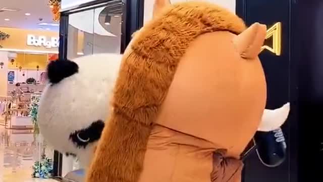 dog funny #shorts 2022🐕🐕🐕🐕🐕🐕🐕🐕