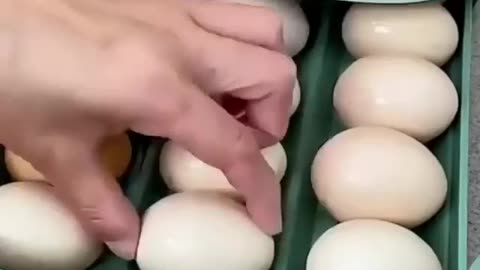 egg storage place.