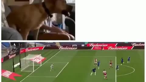 Funny