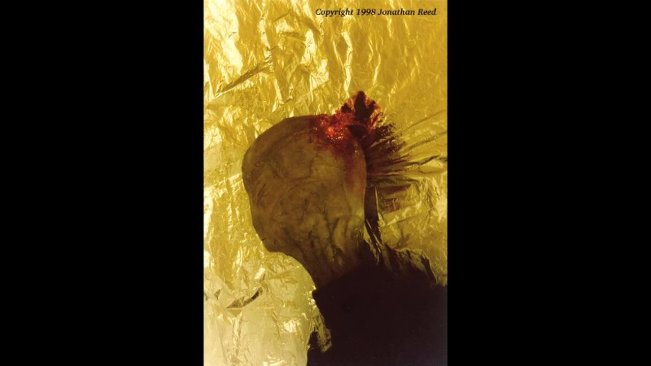 The Jonathan Reed Alien Encounter (1996)