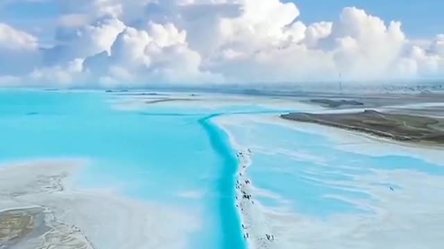 Beautiful Ocean