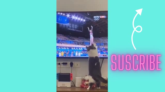 funny super epic