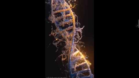 Human DNA is Magic