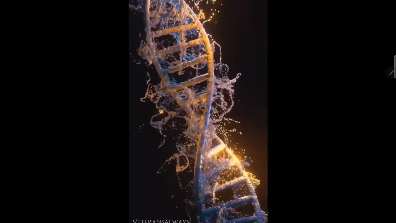 Human DNA is Magic