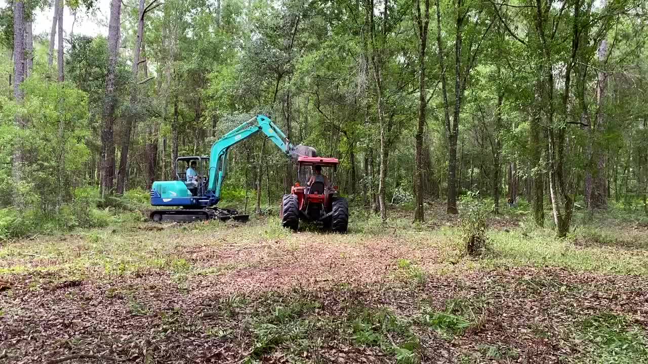 Digging out a pond and trail