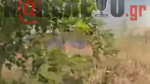 Φωτιά Ορεστειάδα