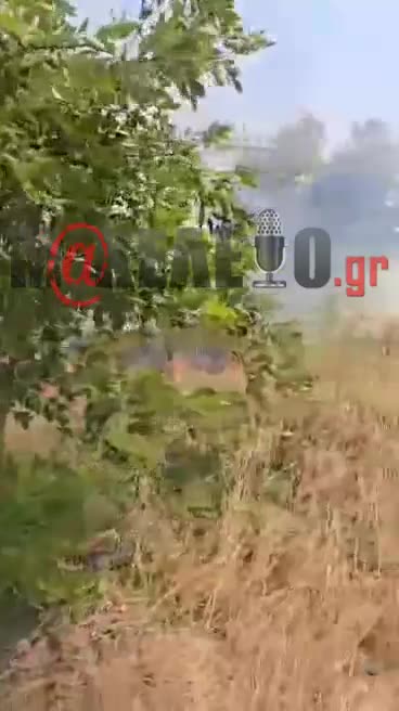 Φωτιά Ορεστειάδα