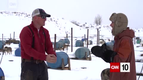 Experiencing A Sled Dog Race