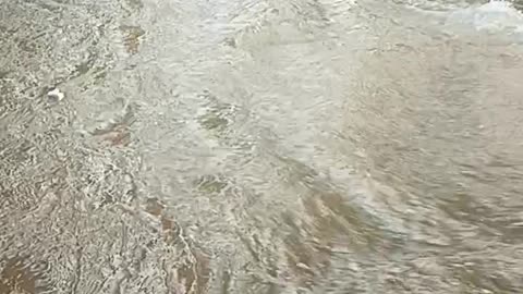 Flood in mumbai