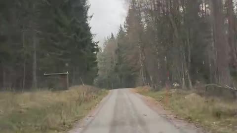 Roadtrip