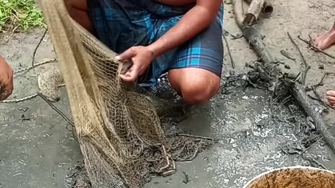 Fishing video