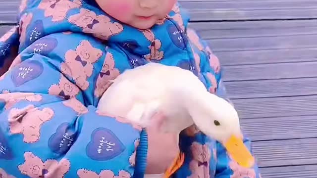 The baby and the duck