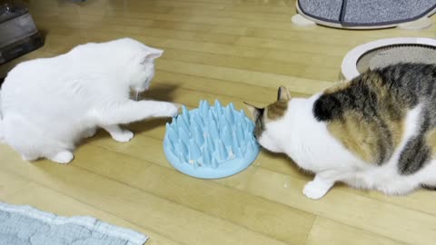 Sister's snack time