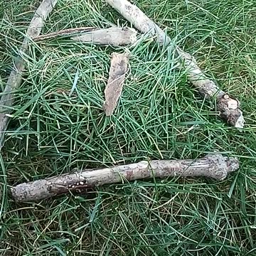 TRUMP RALLY RACINE 6/18/24 VIDEO 14 #Trump24