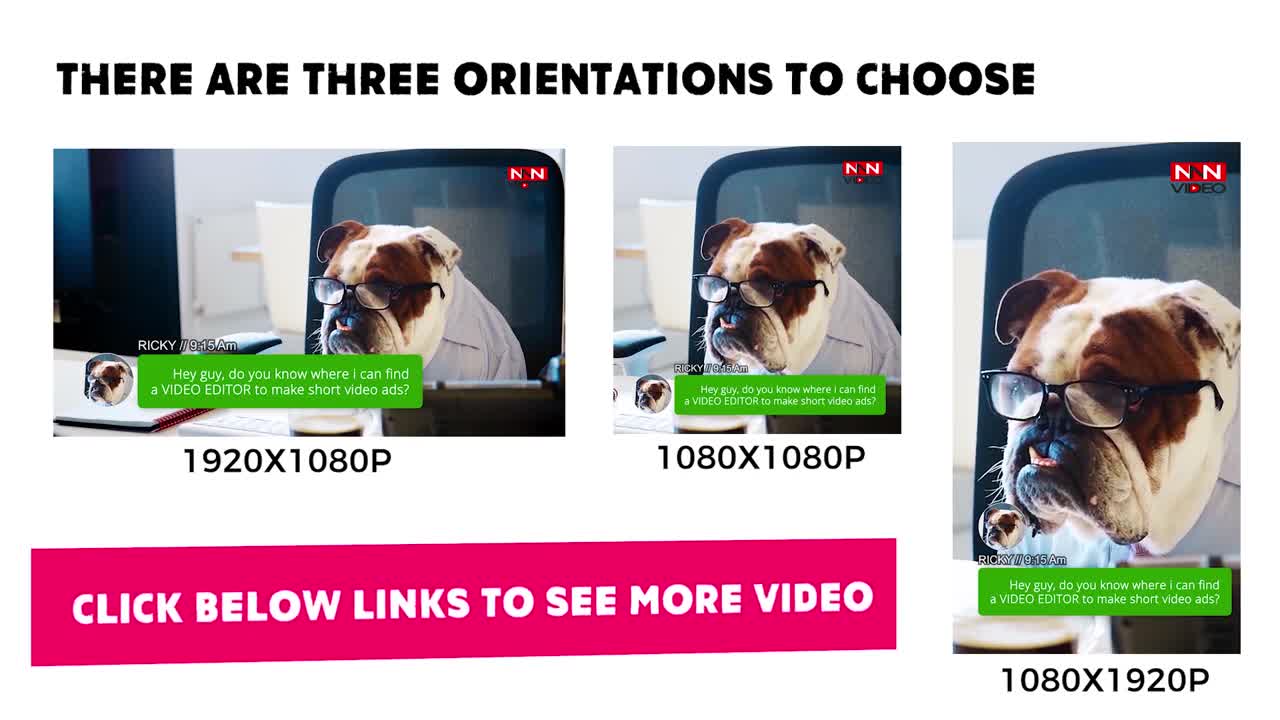 short funny video ads with a funny chatting dog.