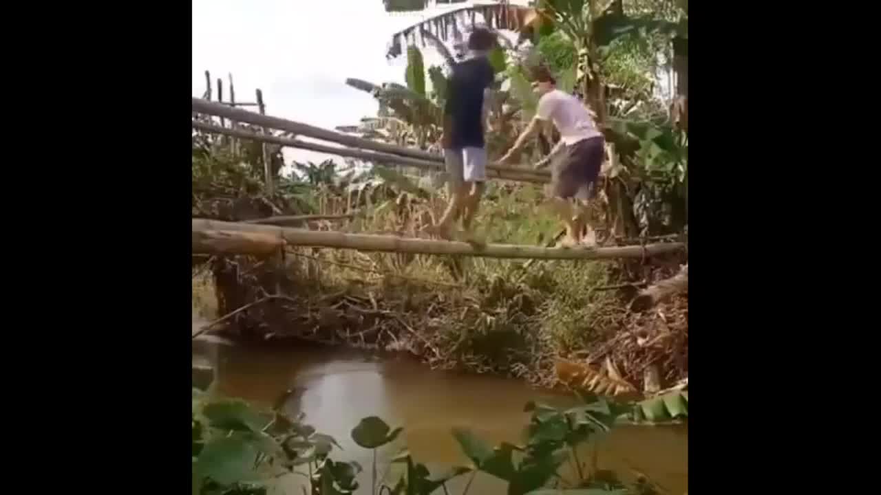 🤣funny_ video_