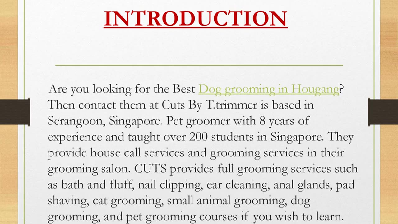 Best Dog grooming in Hougang