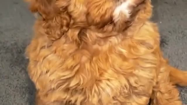 Whenmumsaysnomoretreats