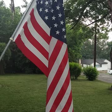 A Patriot's Pledge of Allegiance