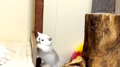 She tried her best🤣😂