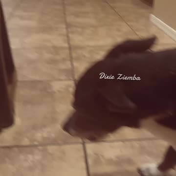 10 days in and we're already overloaded with cuteness!