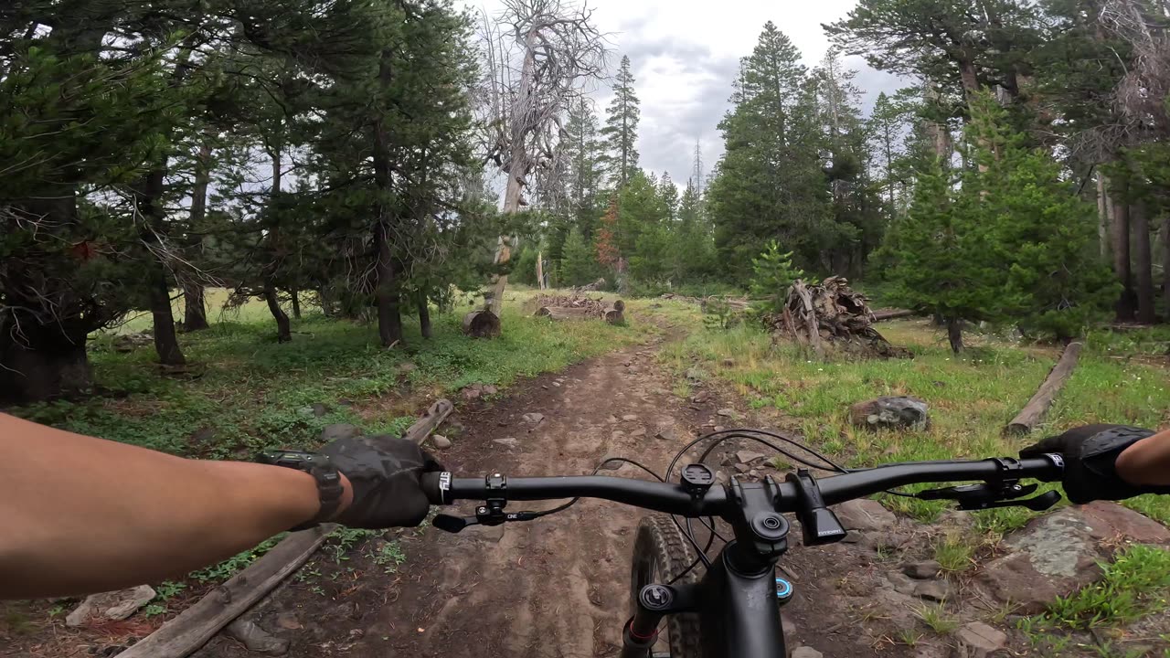 [MTB] Paige Meadow Trail (Tahoe City, CA)